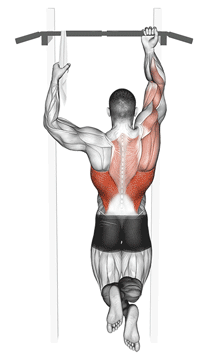 One Arm Pull Up